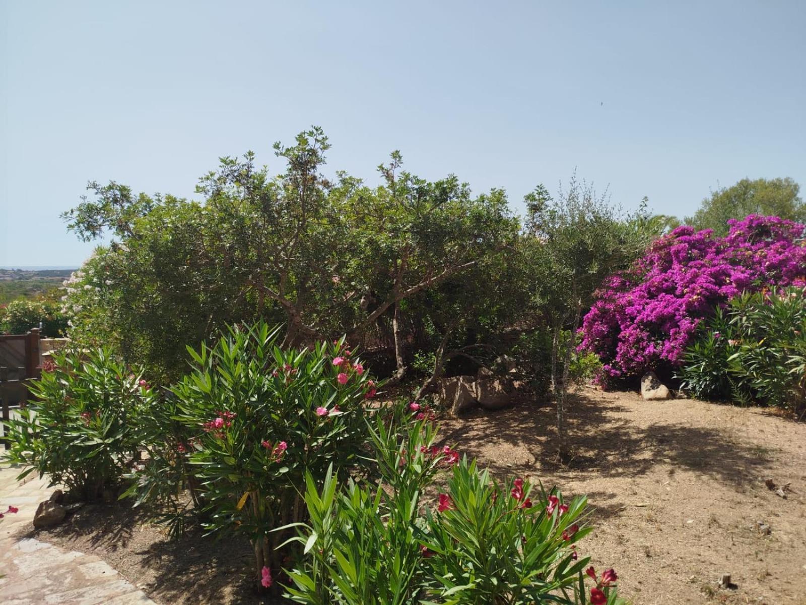 Villa Vista Mare Cala Ginepro Punta Molara Eksteriør billede