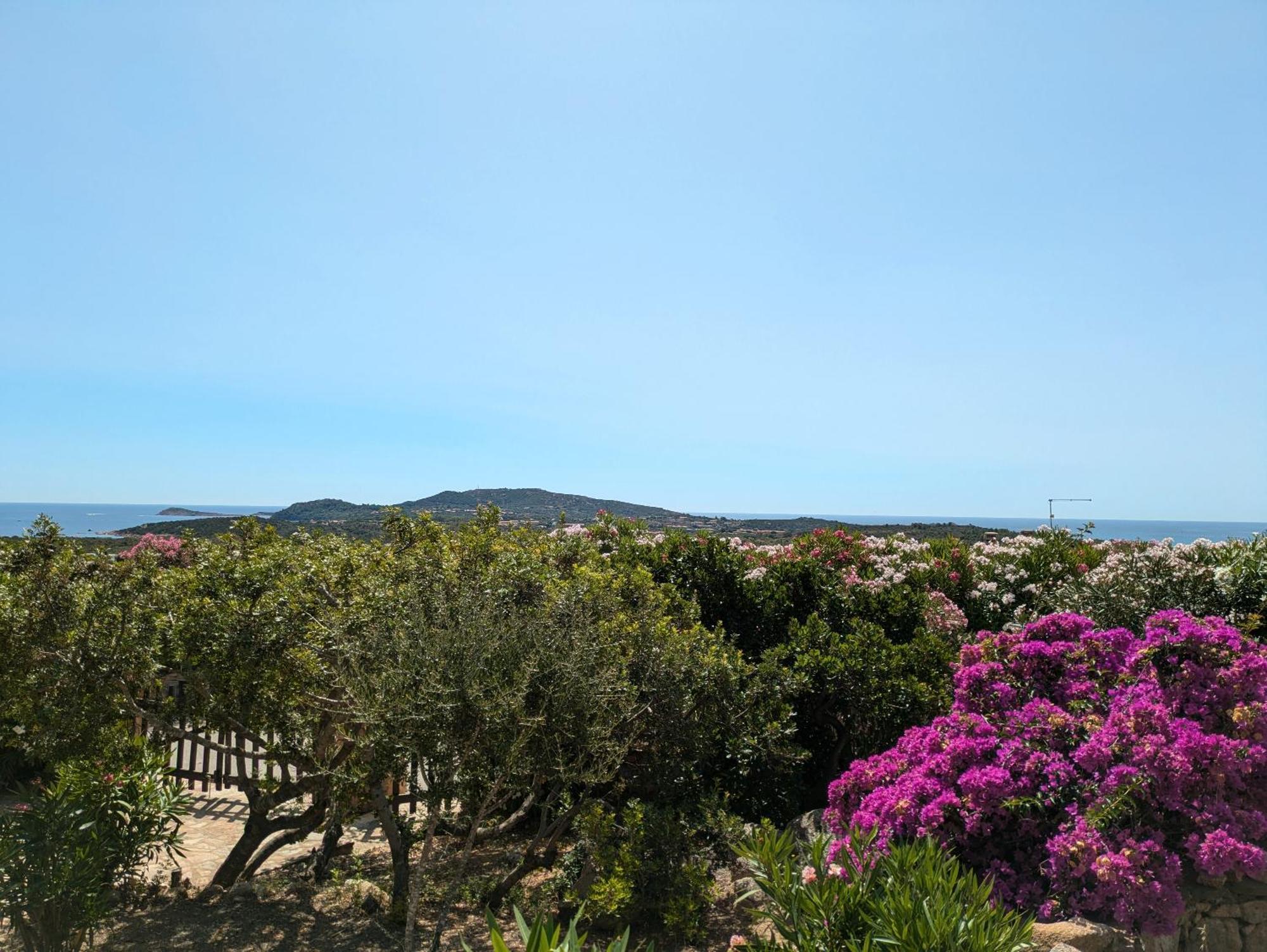 Villa Vista Mare Cala Ginepro Punta Molara Eksteriør billede